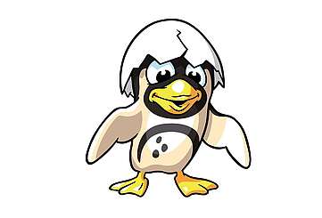 Pinguin mit Schalenhut