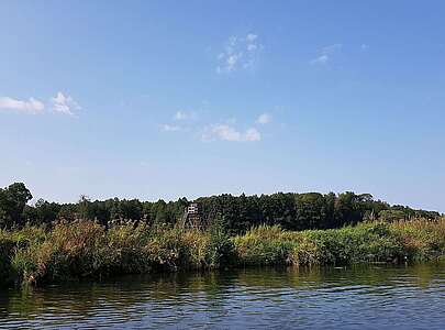 Uferlandschaft im Spreewald