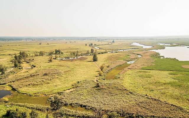 Nationalpark Unteres Odertal von oben