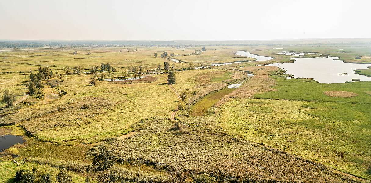 Nationalpark Unteres Odertal von oben