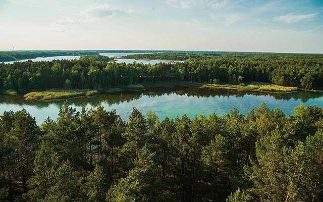 Blick auf Senftenberger See