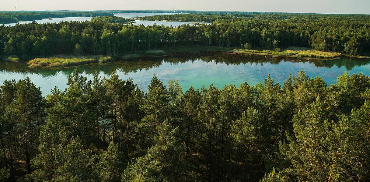 Blick auf Senftenberger See