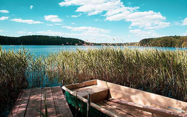 Blick auf den Springsee
