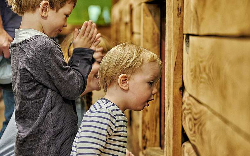 



    
        
                Erstauntes Kind vor Aquarium,
            
        
                Foto: TMB Tourismus-Marketing Brandenburg GmbH/Florian Trykowski
            
    
