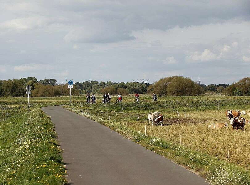 Havelradweg bei Ketzin