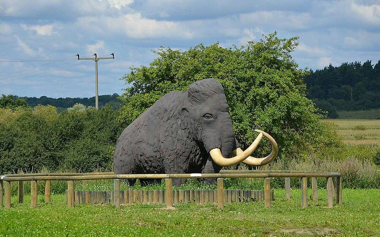 Mammut im Geopark Eiszeitland