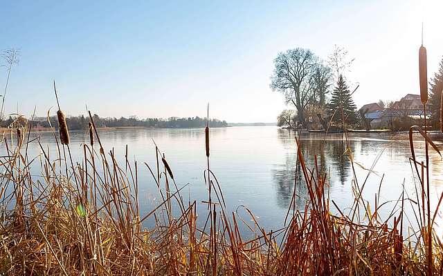 Müllroser See im Winter