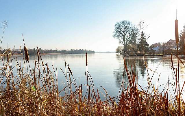 Müllroser See im Winter