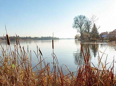Müllroser See im Winter