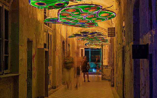 Lichtinstallation Alive Zauberwald