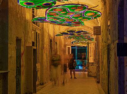 Lichtinstallation Alive Zauberwald