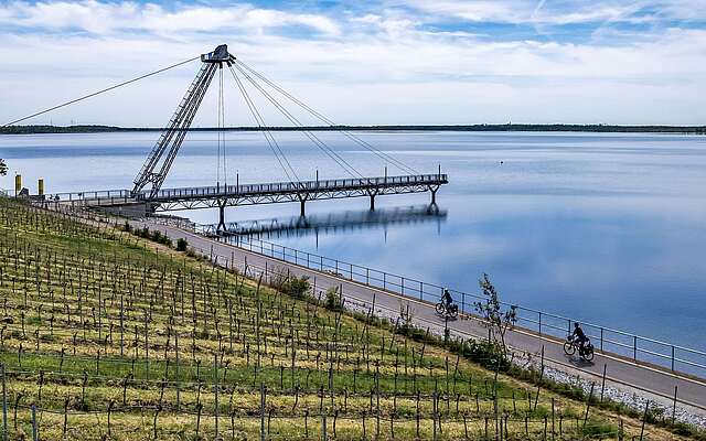 Weinbau und Steg am Großräschener See