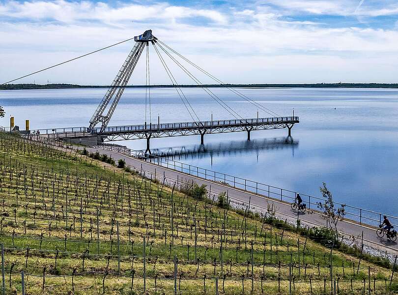Weinbau und Steg am Großräschener See
