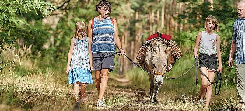 Familienurlaub im Dahme-Seenland mit Eselwanderung