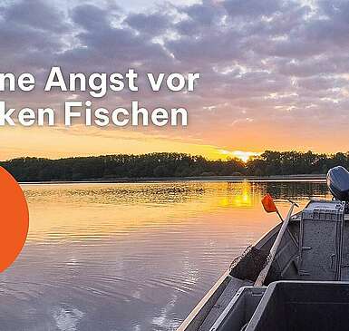 Naturgut Köllnitz