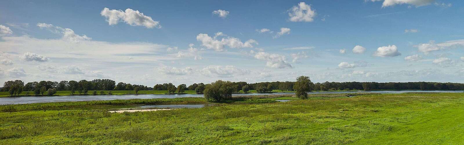 Die Elbe in der Weite der Prignitz