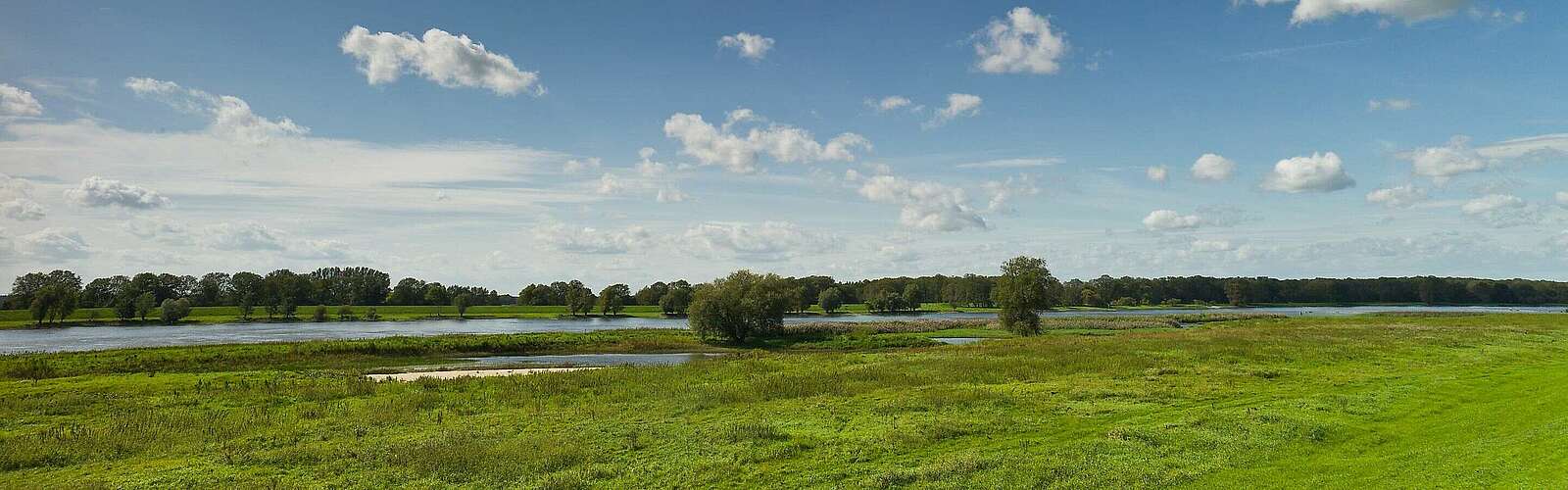 Die Elbe in der Weite der Prignitz,
            
        
                Foto: TMB Tourismus-Marketing Brandenburg GmbH/Yorck Maecke