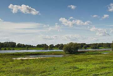 Die Elbe in der Weite der Prignitz
