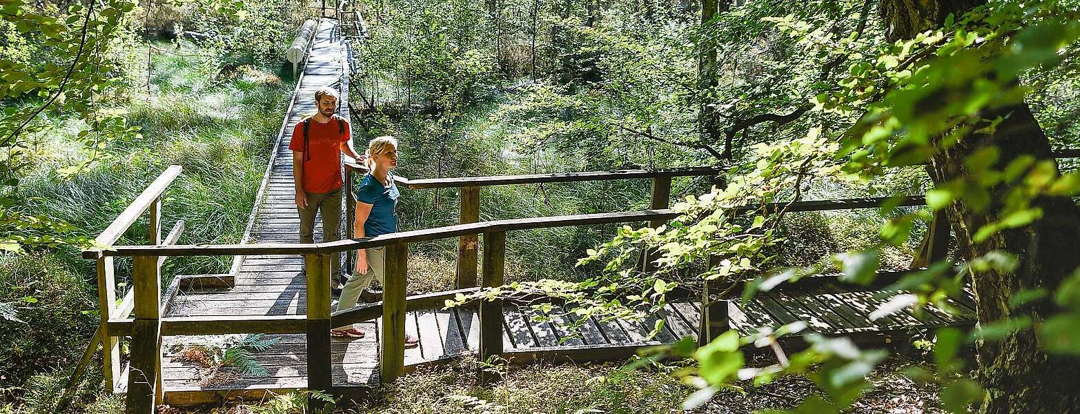 Besucher erkunden den Moorerlebnispfad bei Menz
