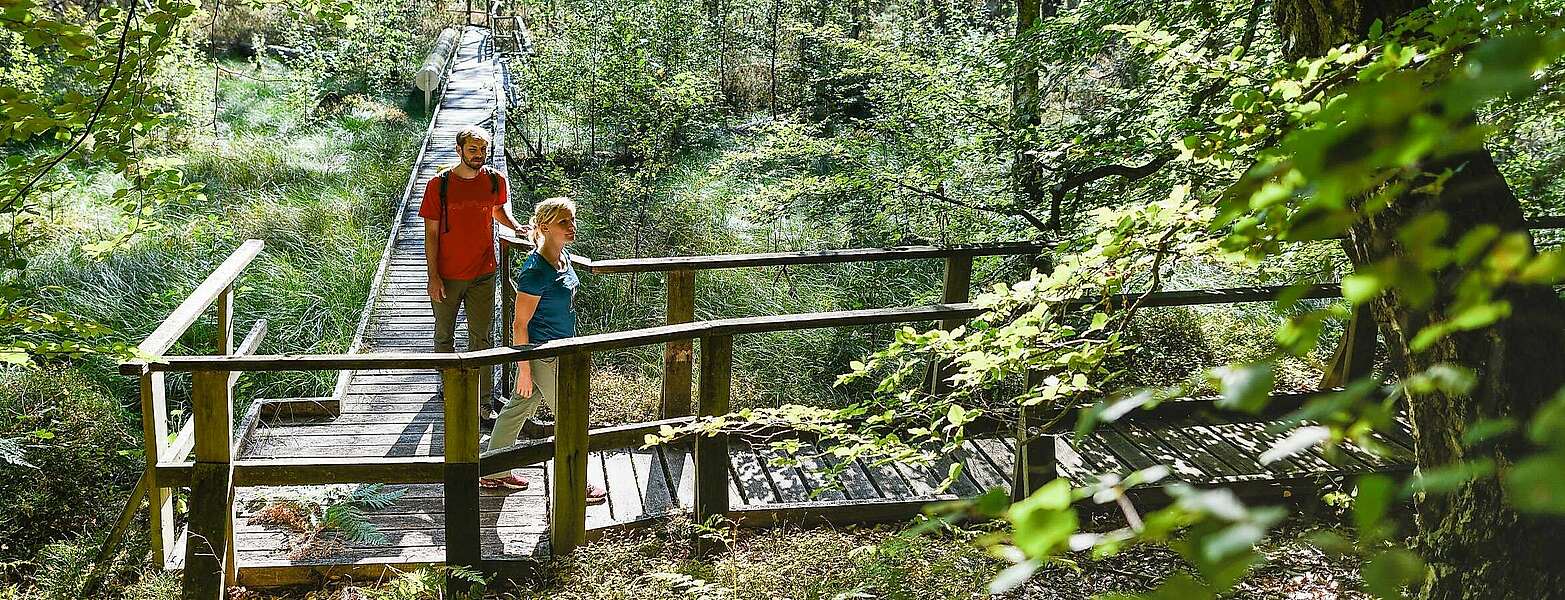Besucher erkunden den Moorerlebnispfad bei Menz,
            
        
                Foto: TMB Tourismus-Marketing Brandenburg GmbH/Wolfgang Ehn