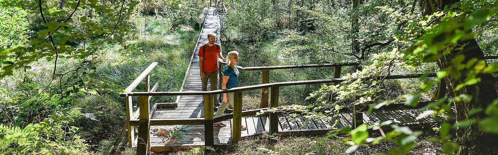 Besucher erkunden den Moorerlebnispfad bei Menz,
            
        
                Foto: TMB Tourismus-Marketing Brandenburg GmbH/Wolfgang Ehn