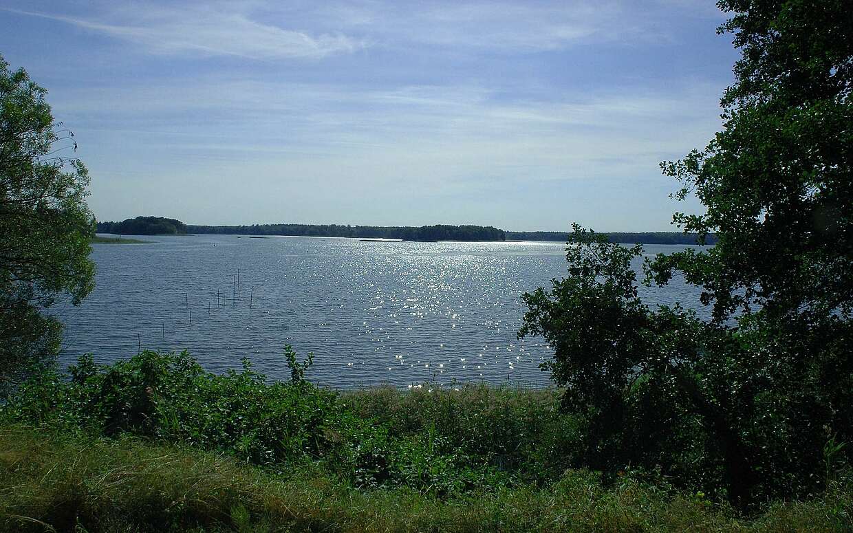 Blick von der Draisinenstrecke Lychen-Fürstenberg/Havel auf den Großen Lychensee.