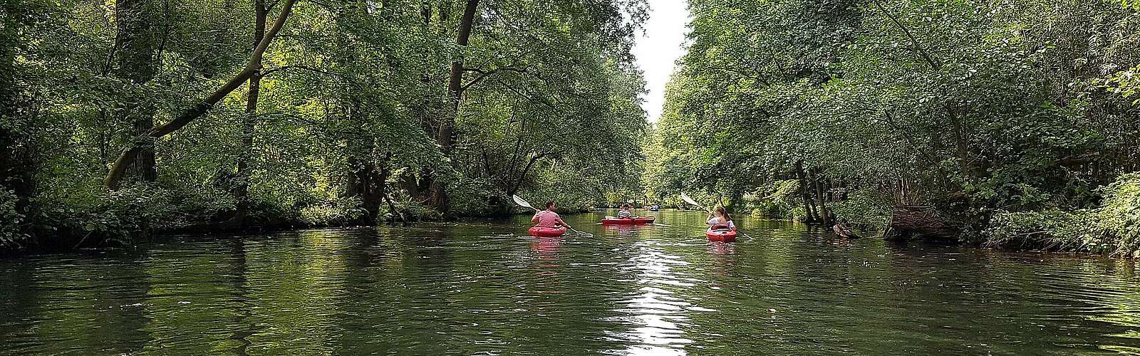 Mit dem Kajak unterwegs im Spreewald,
            
        
                Foto: TMB Tourismus-Marketing Brandenburg GmbH/Katrin Weber