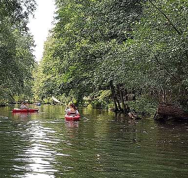 Mit dem Kajak unterwegs im Spreewald