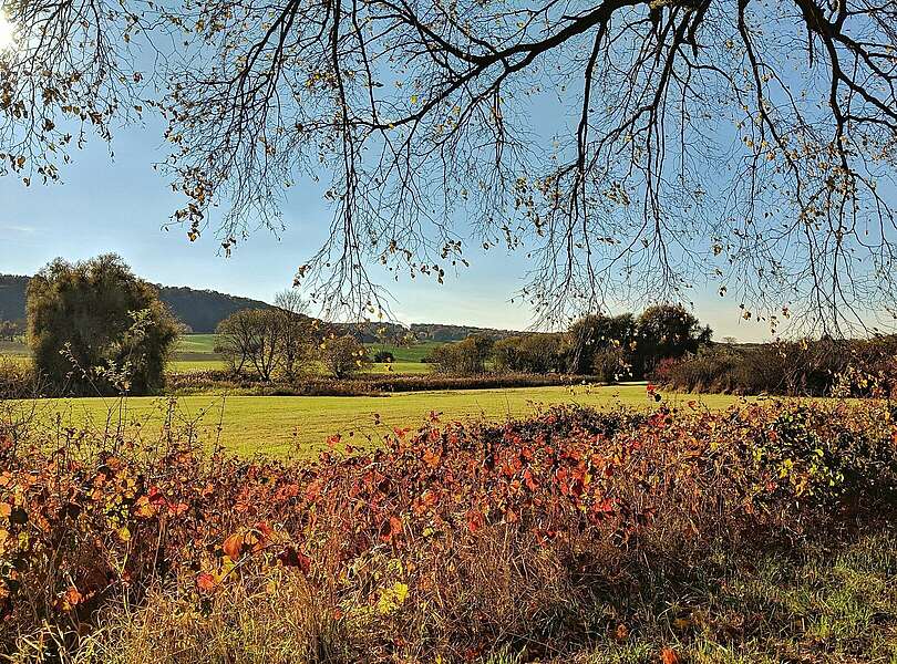 Herbstlicher Weitblick