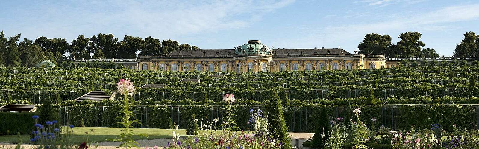 Blick auf Schloss Sanssouci,
        
    

        Foto: TMB Tourismus-Marketing Brandenburg GmbH und SPSG/Leo Seidel