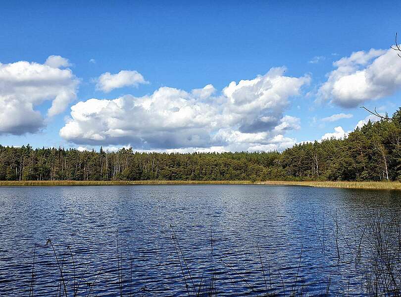 Nehmitzsee
