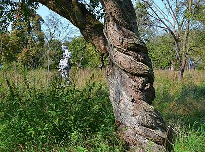 Skulpturenpark Schwante Toby Ziegler mit Baum
