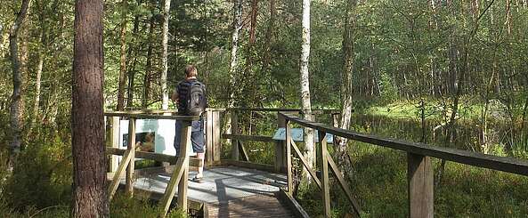 Von Moor zu Moor: Ein Wandererlebnis am Roofensee