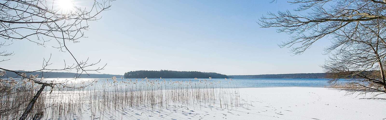 Winterlicher Stechlinsee