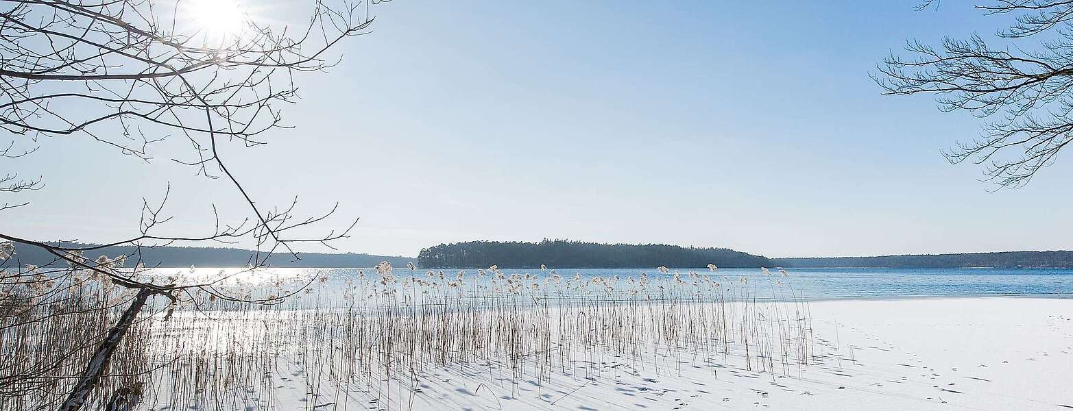 Winterlicher Stechlinsee