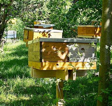 Frühling im Havelland: Honig aus der BUGA-Region