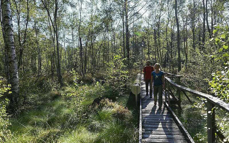 



    
        
                Besucher erkunden den Moorerlebnispfad bei Menz,
            
        
                Foto: TMB Tourismus-Marketing Brandenburg GmbH/Wolfgang Ehn
            
    
