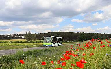 Burgenlinie durch den Hohen Fläming, Foto: Bansen / Wittig