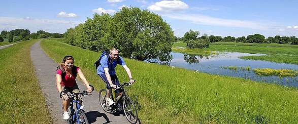 Radler in der Flusslandschaft Oder