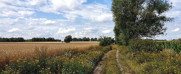 Annenpfad in der Prignitz