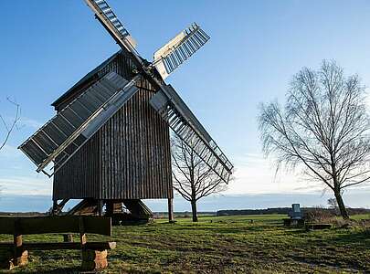 Bockwindmühle Borne