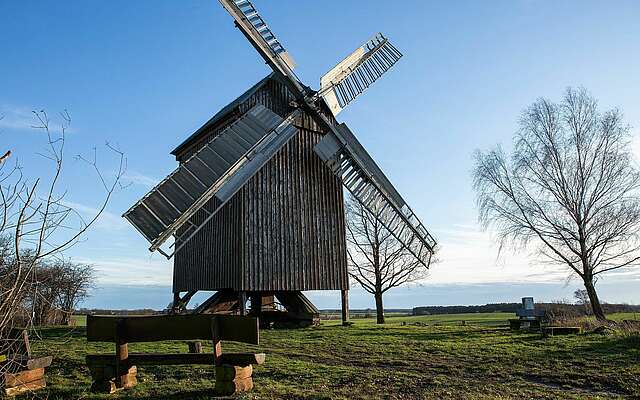 Bockwindmühle Borne