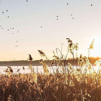 Winter am Scharmützelsee