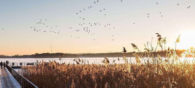Winter am Scharmützelsee