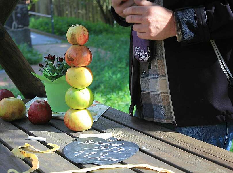 Apfelfest Fläming