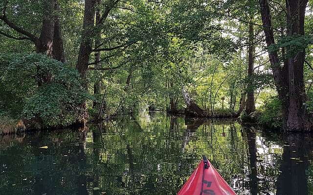 Mit dem Kajak unterwegs im Spreewald