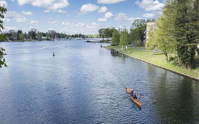Ruderer auf der Spree in Erkner