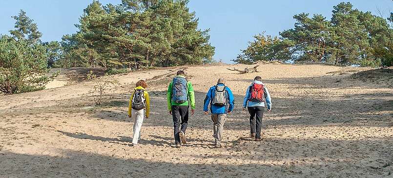 Einmal rund um Berlin: Der 66-Seen-Wanderweg