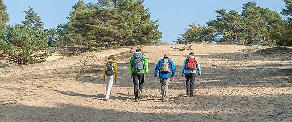Einmal rund um Berlin: Der 66-Seen-Wanderweg