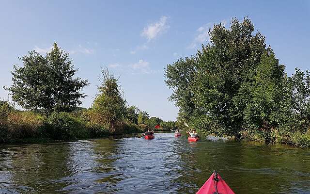 Mit dem Kajak unterwegs im Spreewald